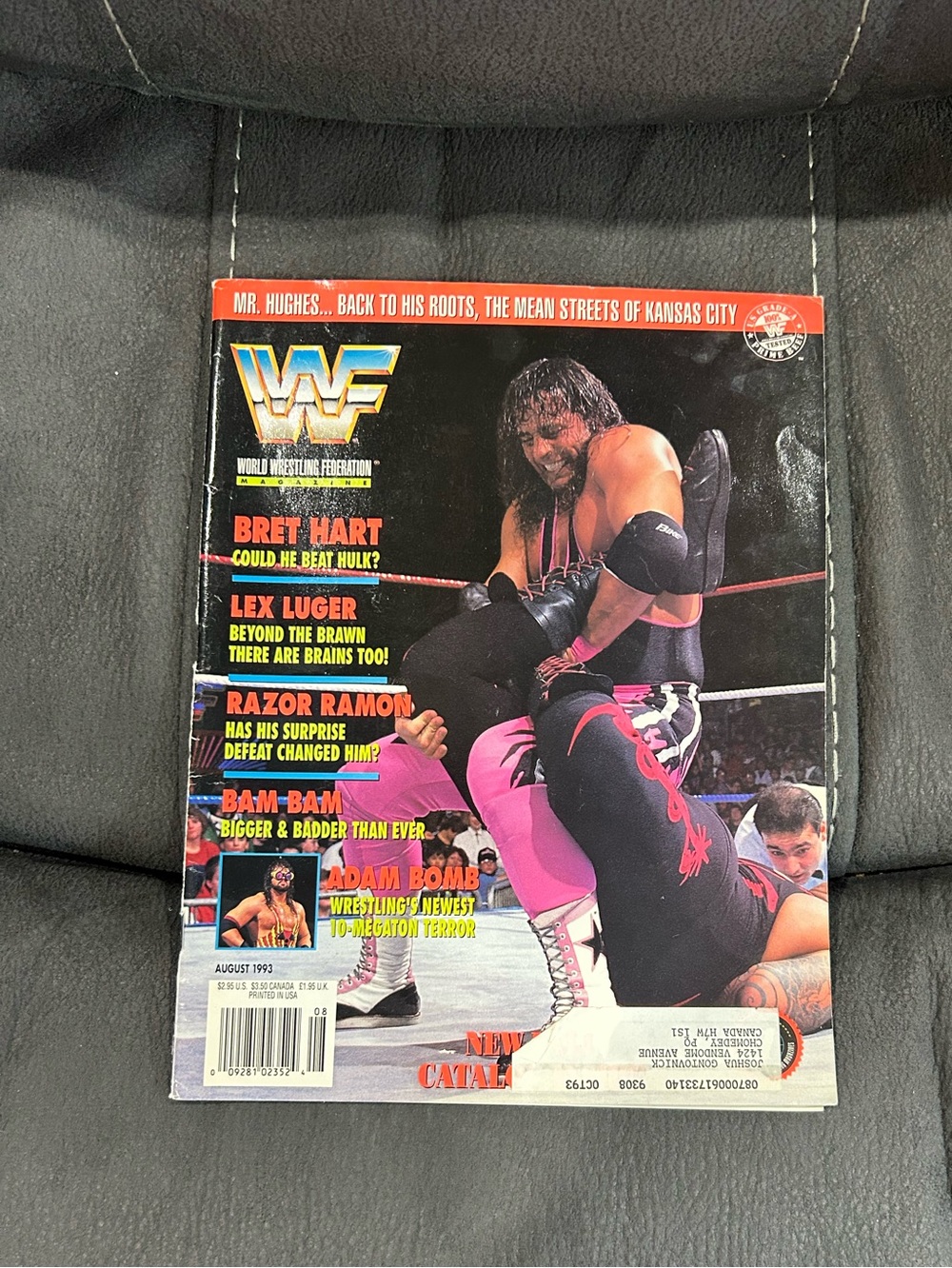 WWF magazine - August 1993